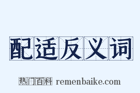 配适反义词是什么意思的图片